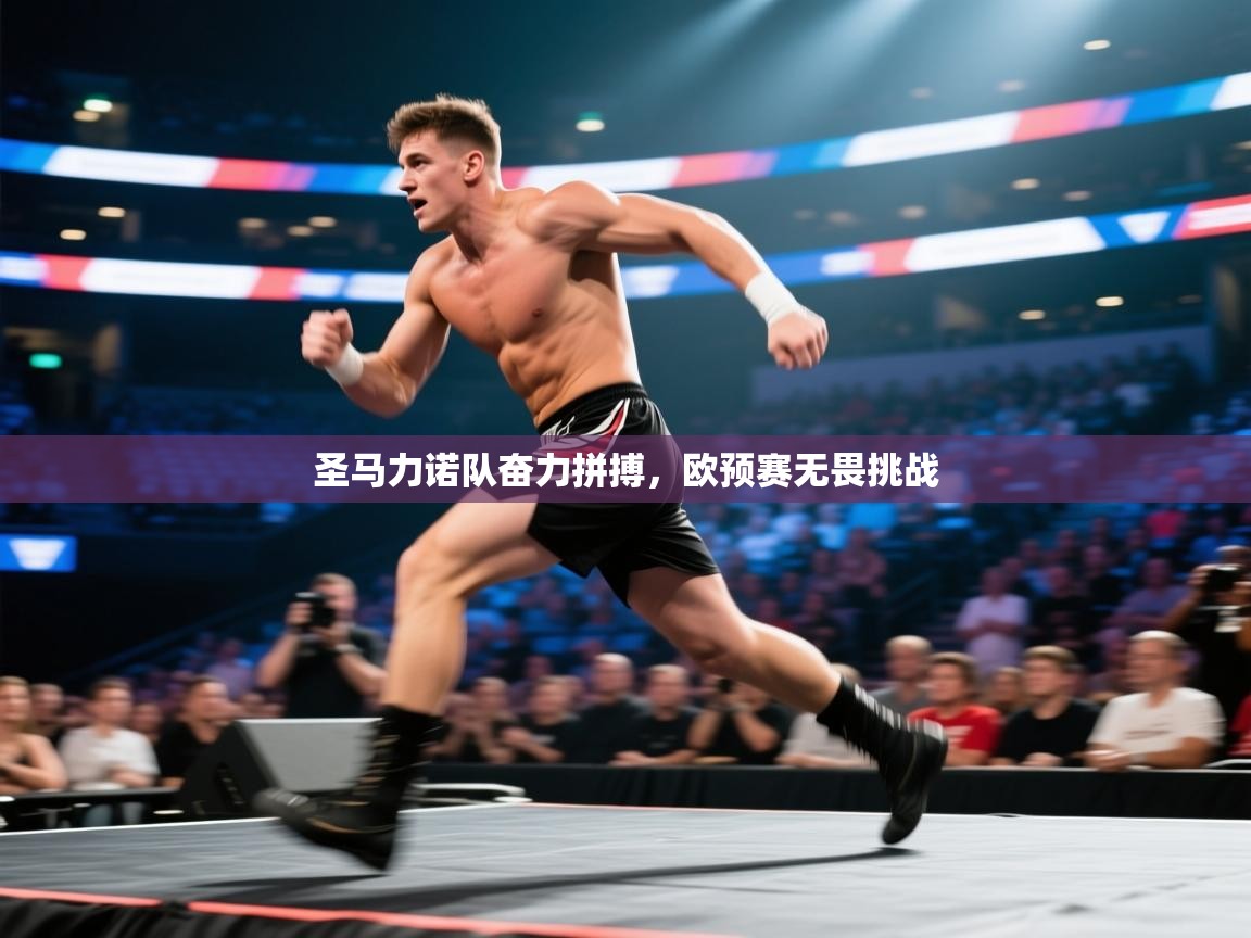 圣马力诺队奋力拼搏,欧预赛无畏挑战 第2张